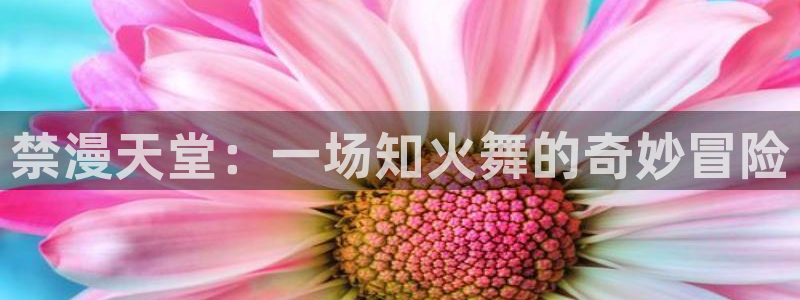 age专注动漫的门户网站：禁漫天堂：一场知火舞的奇妙冒险