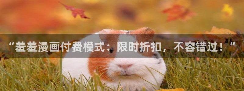 新新漫画官网在线入口：“羞羞漫画付费模式：限时折扣，不容错过！”
