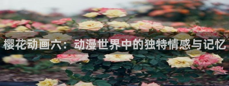 age樱花动漫：樱花动画六：动漫世界中的独特情感与记忆