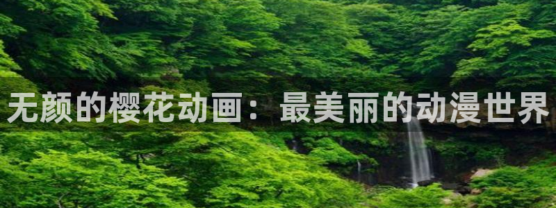 colamanage漫画：无颜的樱花动画：最美丽的动漫世界