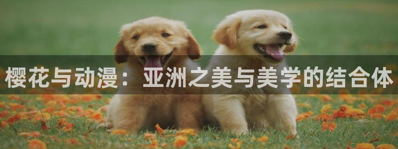 新新漫画网下载：樱花与动漫：亚洲之美与美学的结合体