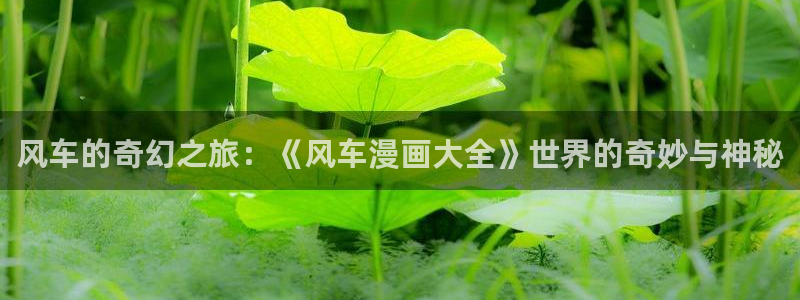 拷贝漫画 copymanager.ory网站：风车的奇幻之旅：《风车漫画大全》世界的奇妙与神秘