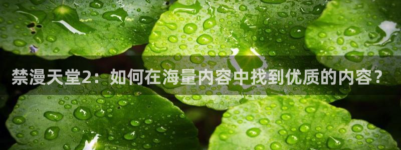 在线动画动漫下载新新漫画：禁漫天堂2：如何在海量内容中找到优质的内容？